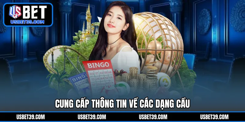 Cung cấp thông tin về các dạng cầu 