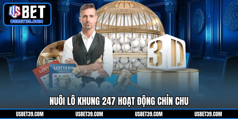 Nuôi lô khung 247 hoạt động chỉn chu