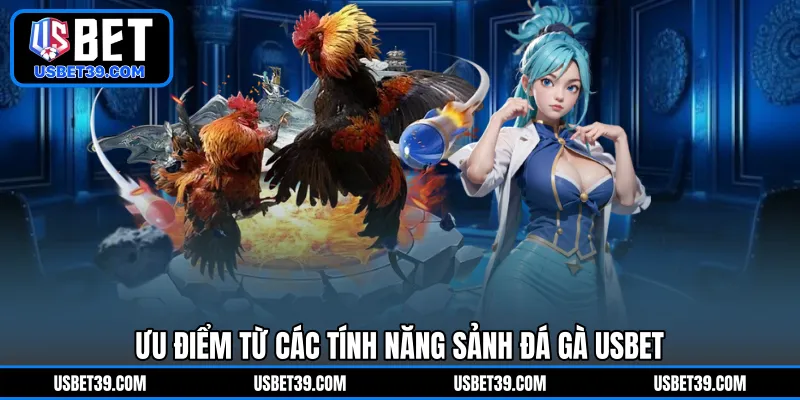 Ưu điểm từ các tính năng sảnh Đá Gà USBET